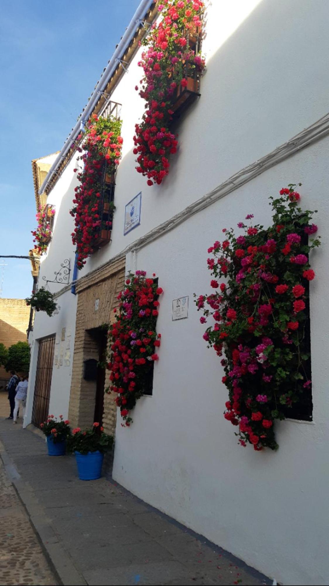 Apartamento En Barrio San Basilio Apartment Córdoba Exterior foto